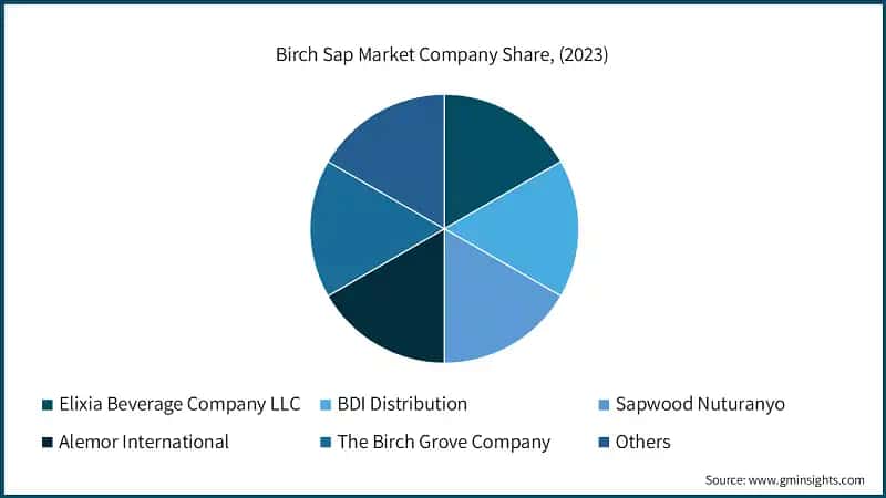 Birch Sap Market Company Share, (2023)