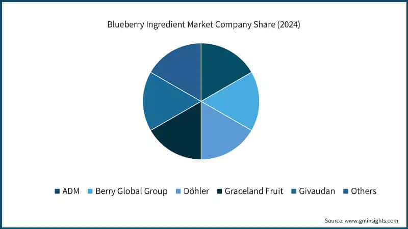 Blueberry Ingredient Market Company Share (2024)