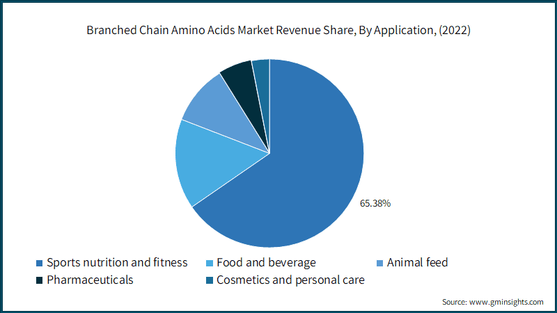 Branched Chain Amino Acids Market Revenue Share, By Application, (2022)
