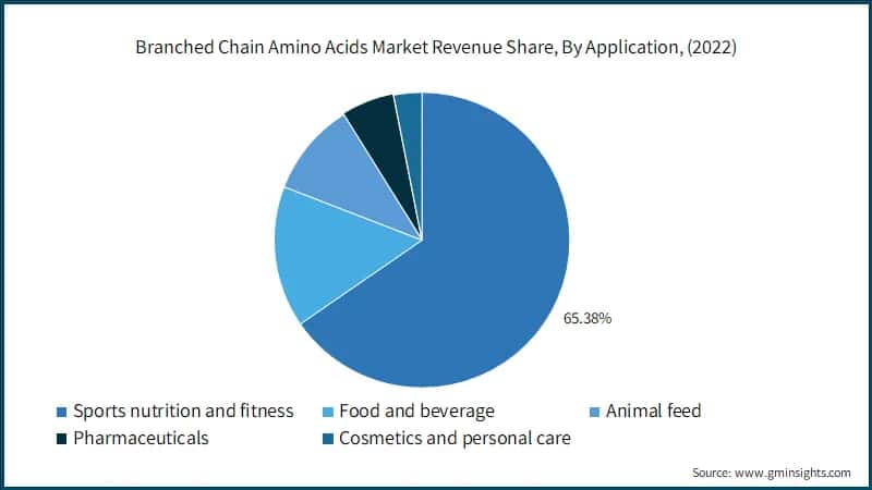 Branched Chain Amino Acids Market Revenue Share, By Application, (2022)