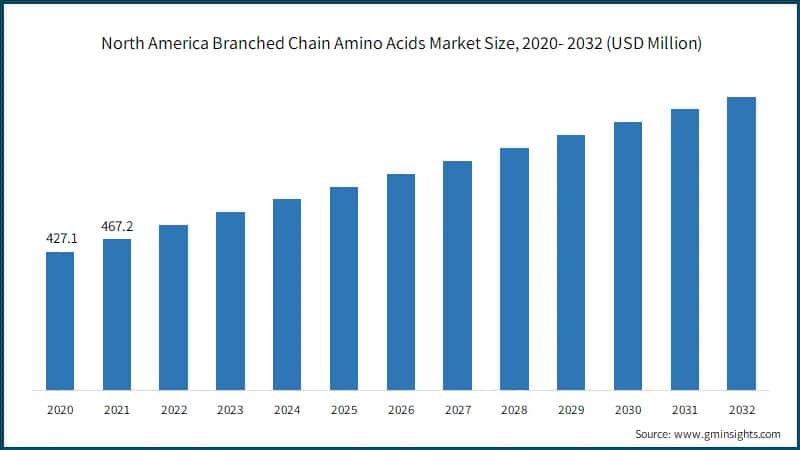 North America Branched Chain Amino Acids Market Size, 2020- 2032 (USD Million)