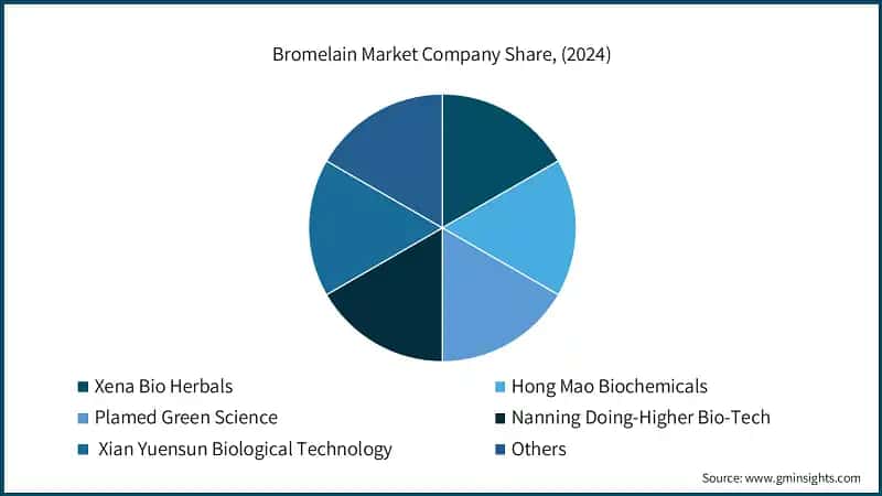 Bromelain Market Company Share, (2024)
