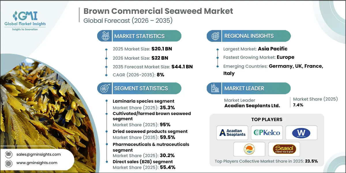 Brown Commercial Seaweed Market