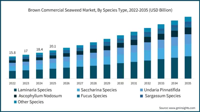  Brown Commercial Seaweed Market, By Species Type, 2022-2035 (USD Billion)
