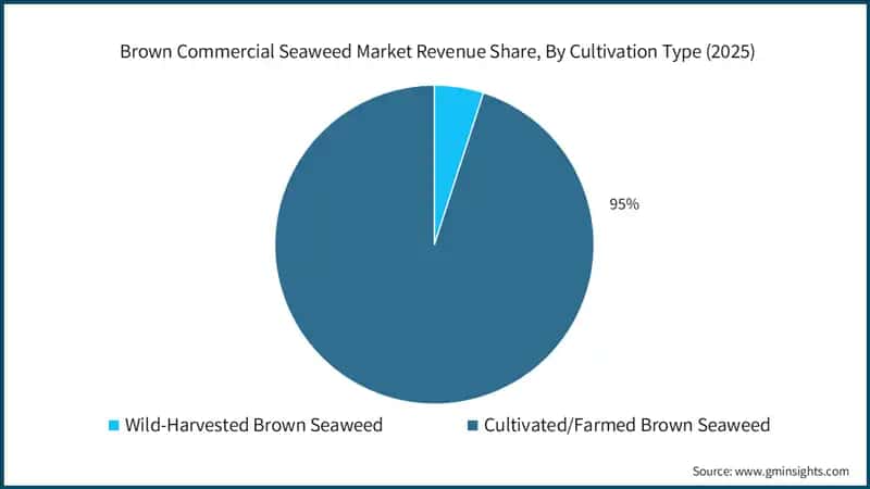  Brown Commercial Seaweed Market Revenue Share, By Cultivation Type (2025)