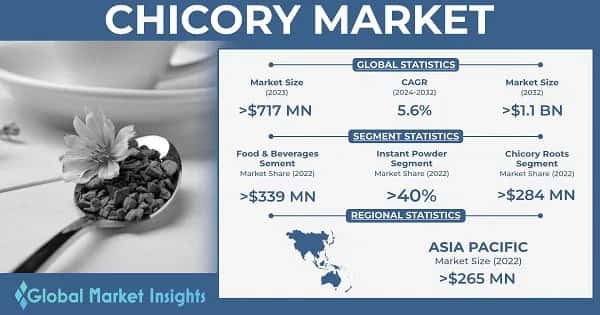 Chicory Market