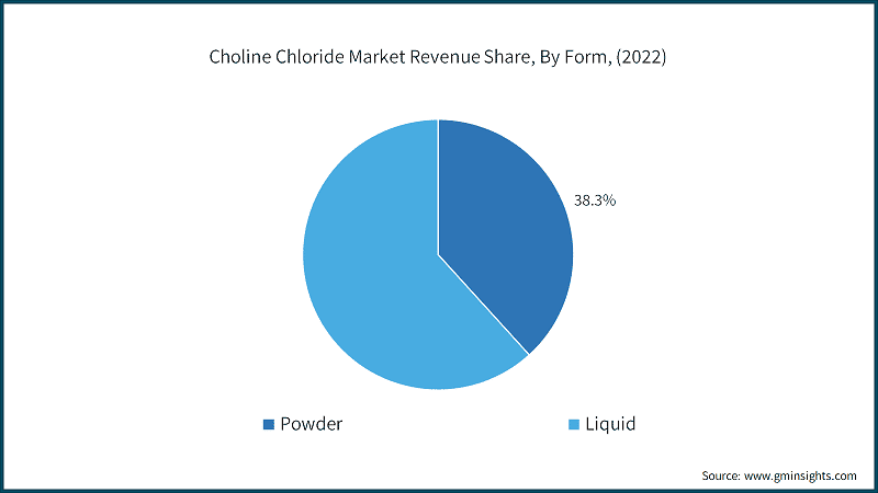 Choline Chloride Market Revenue Share, By Form, (2022)