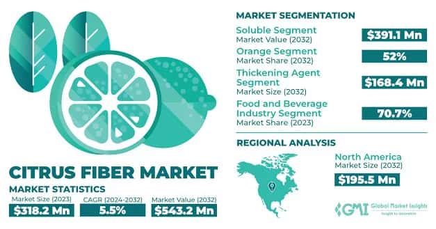 Citrus Fiber Market