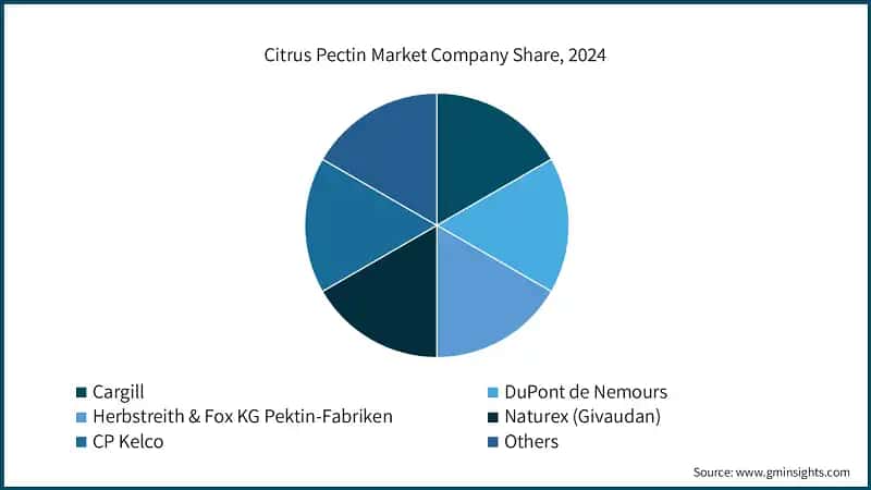 Citrus Pectin Market Company Share, 2024