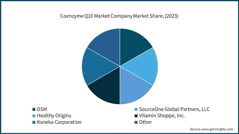 Coenzyme Q10 Market Company Market Share, (2023)