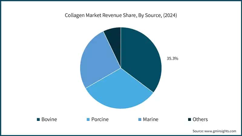 Collagen Market Revenue Share, By Source, (2024)