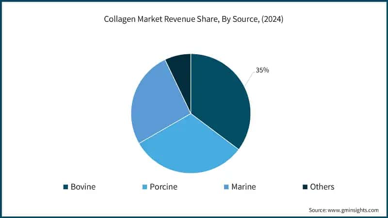 Collagen Market Revenue Share, By Source, (2024)