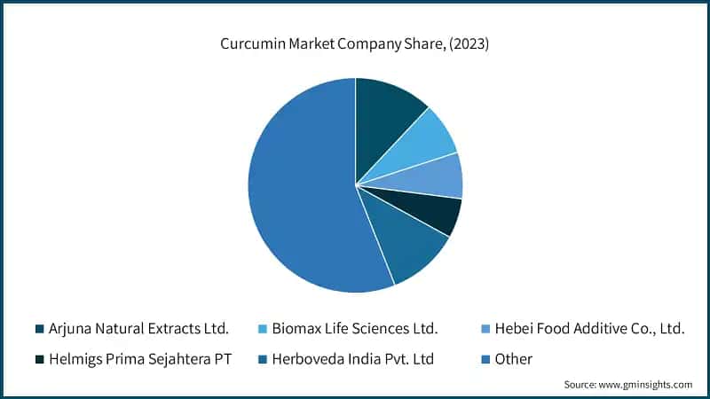 Curcumin Market Company Share, (2023)