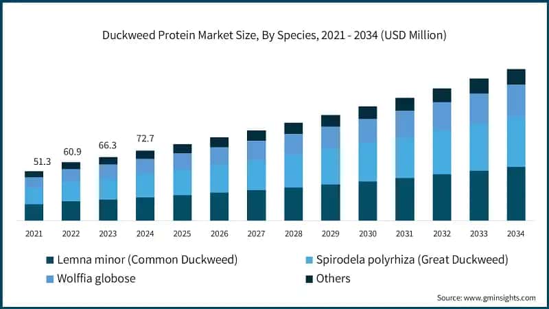 Duckweed Protein Market Size, By Species, 2021 - 2034 (USD Million)