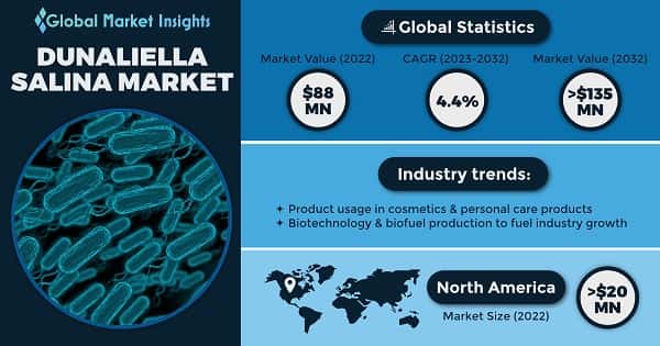 Dunaliella Salina Market 