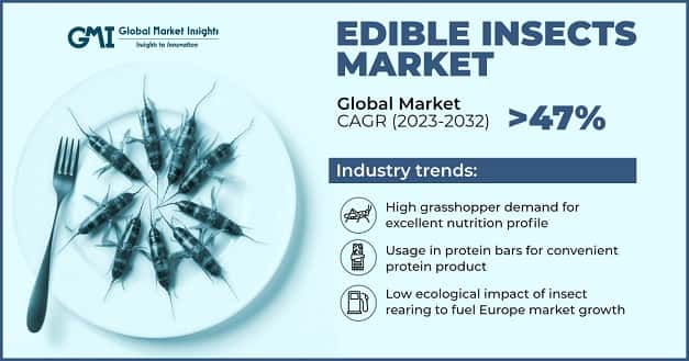 Edible Insects Market