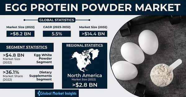 Egg Protein Powder Market