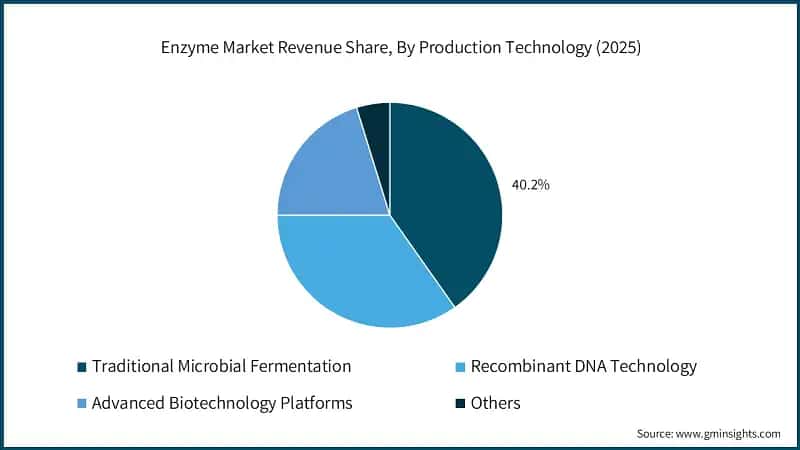  Enzyme Market Revenue Share, By Production Technology (2025)