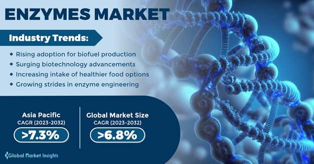Enzymes Market 