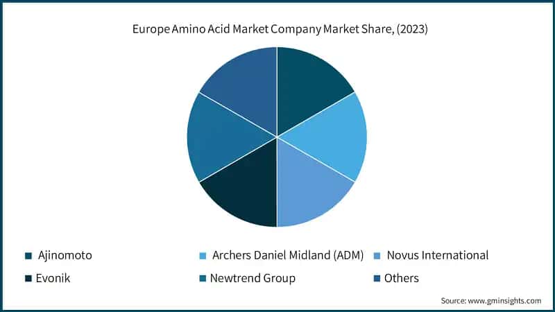 Europe Amino Acid Market Company Market Share, (2023)