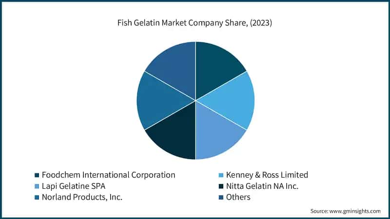 Fish Gelatin Market Company Share, (2023)