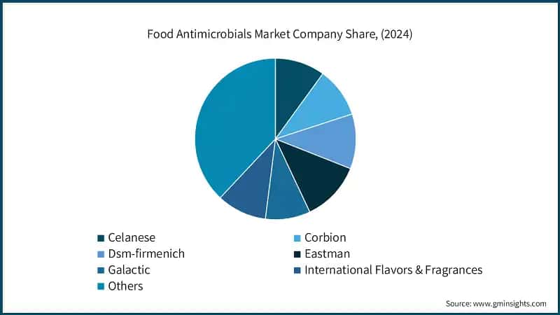 Food Antimicrobials Market Company Share, (2024)