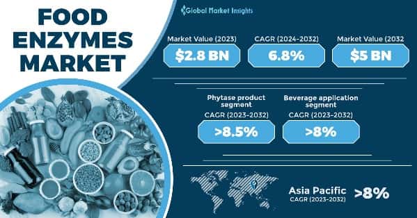Food Enzymes Market