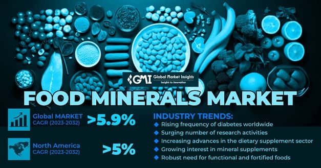 Food Minerals Market