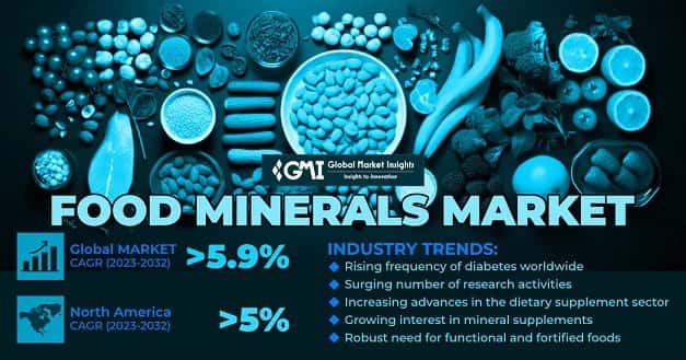 Food Minerals Market