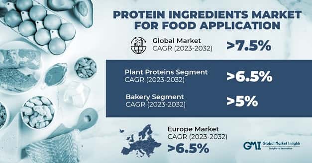 Protein Ingredients Market