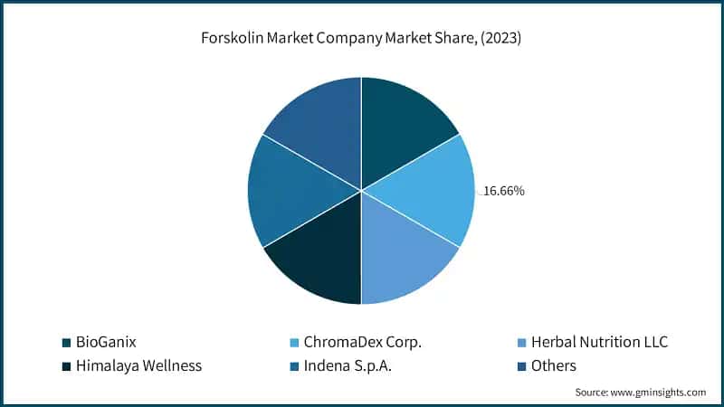 Forskolin Market Company Market Share, (2023)