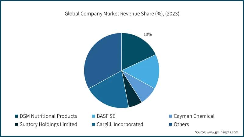 Global Company Market Revenue Share (%), (2023)