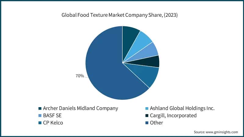 Global Food Texture Market Company Share, (2023)