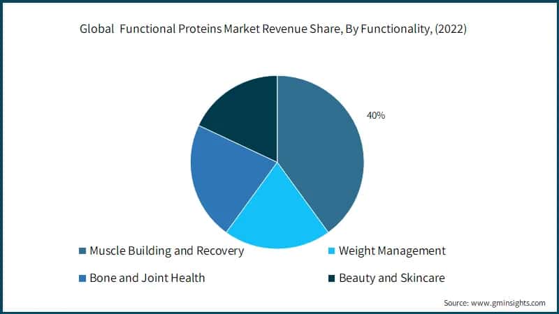 Global&nbsp; Functional Proteins Market Revenue Share, By Functionality, (2022)