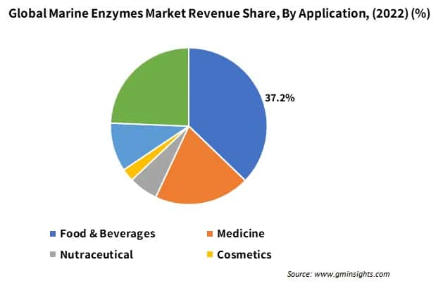 Global Marine Enzymes Market, By Region 