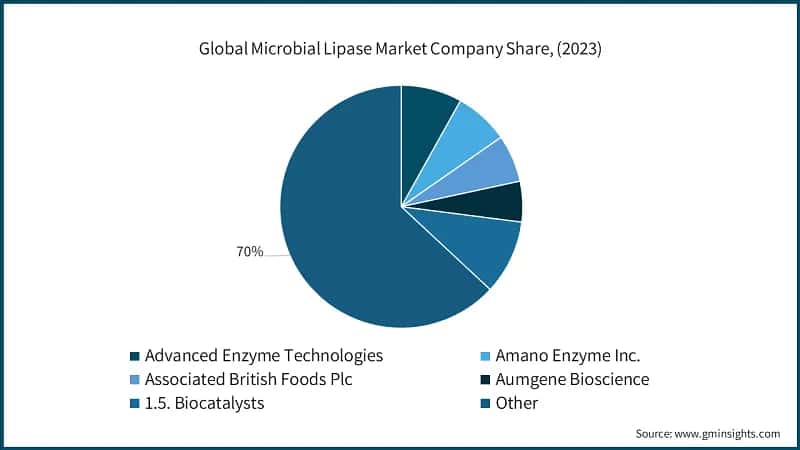 Global Microbial Lipase Market Company Share, (2023)