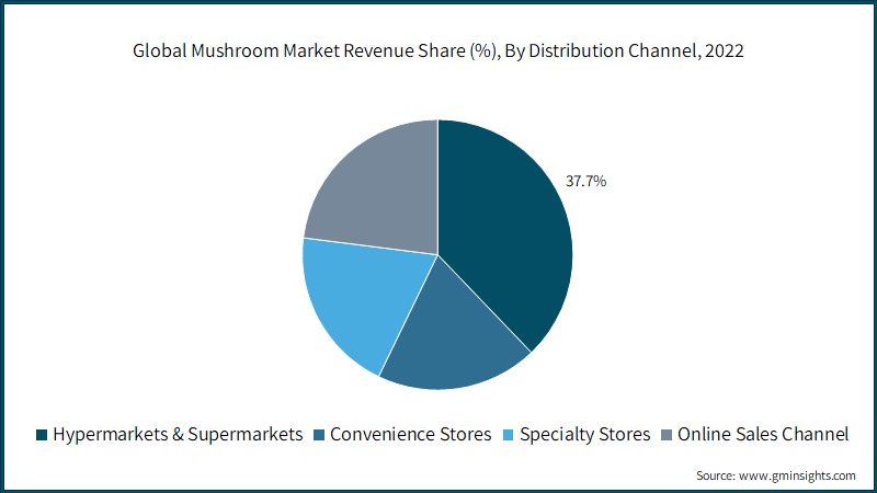Global Mushroom Market Revenue Share (%), By Distribution Channel, 2022