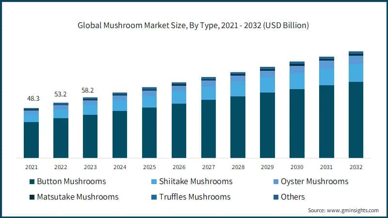 Global Mushroom Market Size, By Type, 2021 - 2032 (USD Billion)