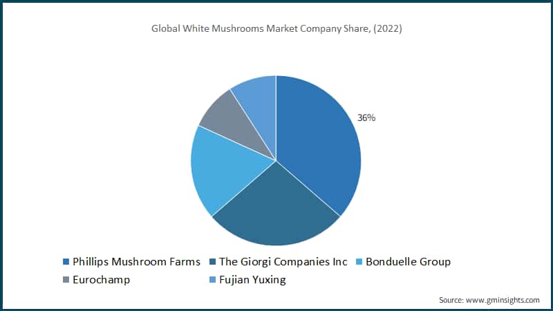 Global White Mushrooms Market Company Share, (2022)