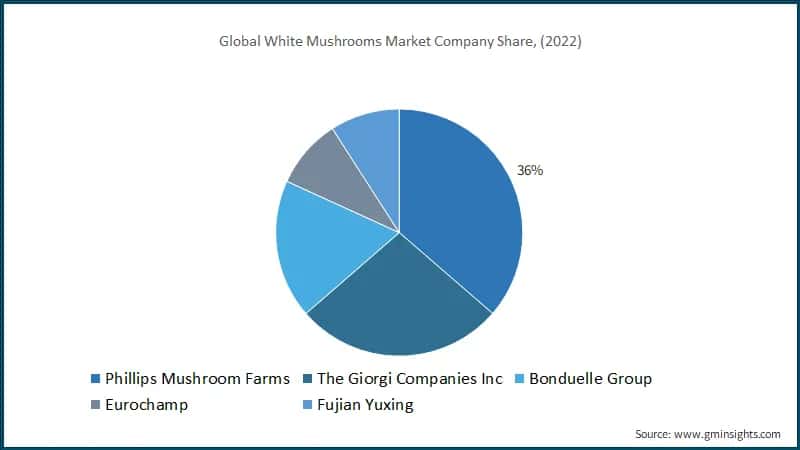 Global White Mushrooms Market Company Share, (2022)
