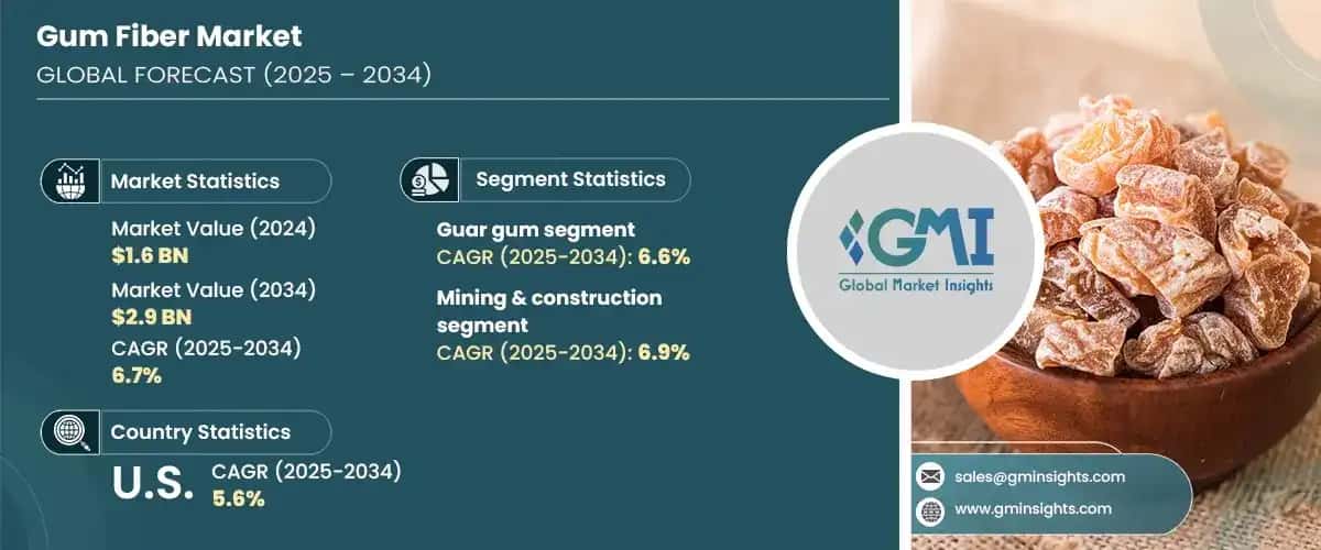 Gum Fiber Market