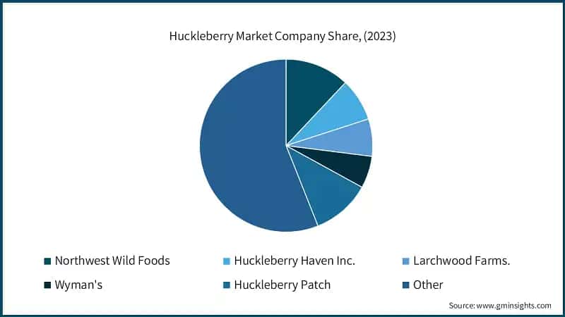Huckleberry Market Company Share, (2023)