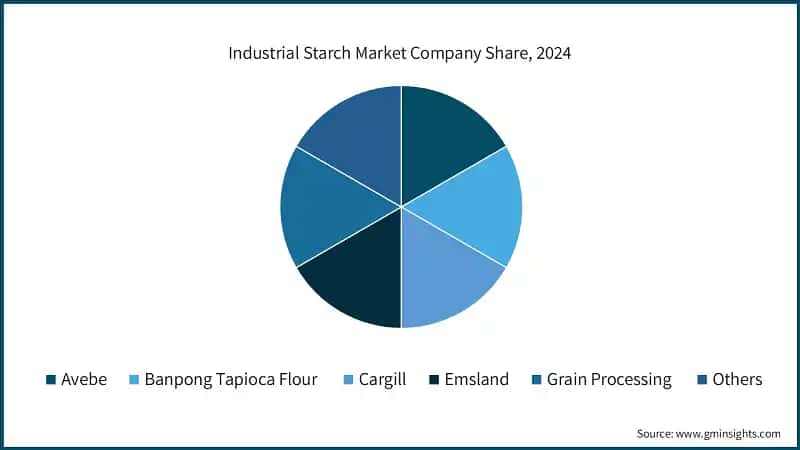 Industrial Starch Market Company Share, 2024