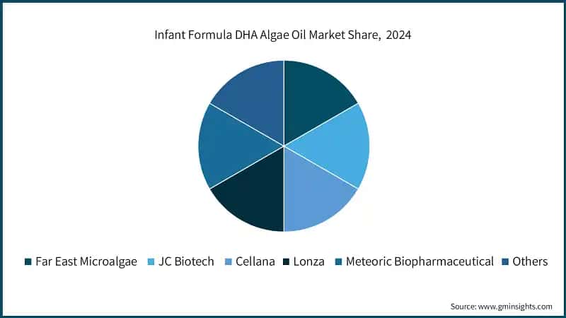 Infant Formula DHA Algae Oil Market Share, 2024