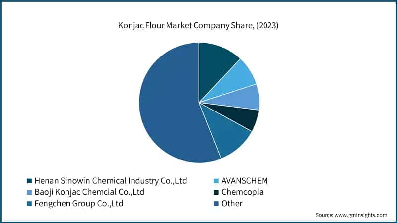Konjac Flour Market Company Share, (2023)
