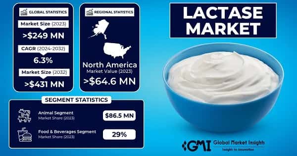 Lactase Market