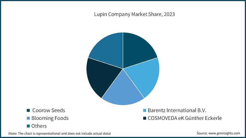 Lupin Company Market Share, 2023
