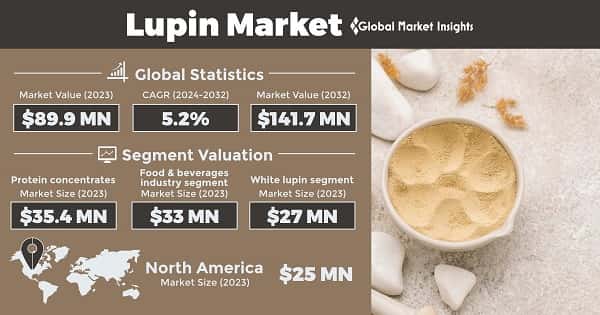 Lupin Market