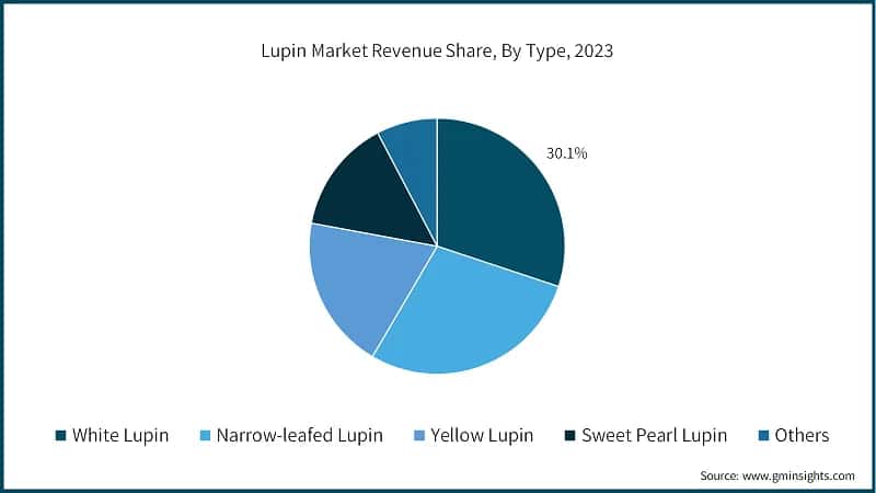 Lupin Market Revenue Share, By Type, 2023