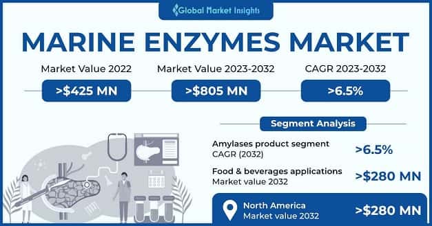 Marine Enzymes Market